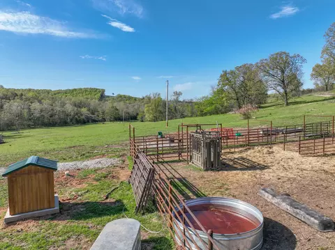 000 County Road 246, Drury, MO 65638 photo 9