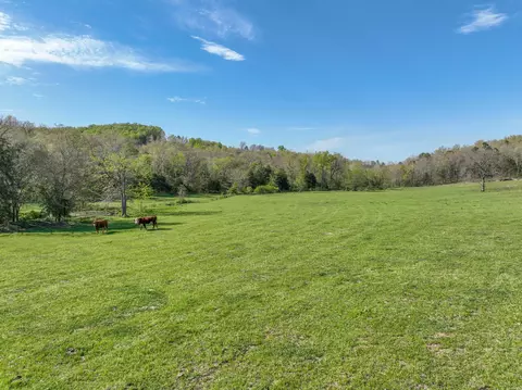 000 County Road 246, Drury, MO 65638 photo 11