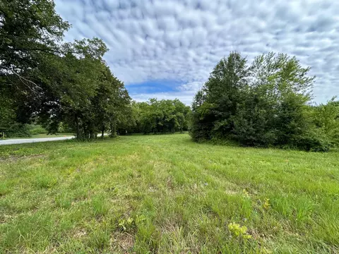 203 State Rte W, Mountain View, MO 65548 photo 2