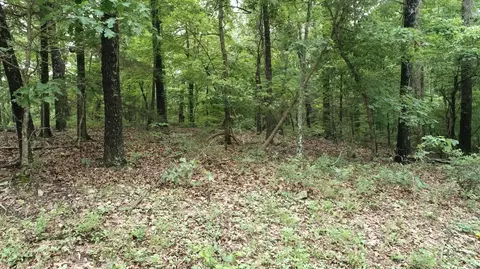 000 County Road 814, Gainesville, MO 65655 photo 6