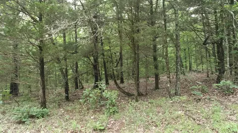 000 County Road 814, Gainesville, MO 65655 photo 3