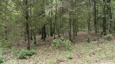 000 County Road 814, Gainesville, MO 65655 photo 2