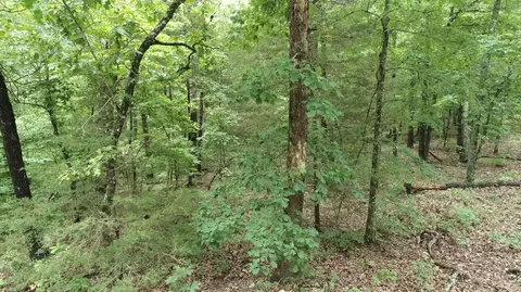 000 County Road 814, Gainesville, MO 65655 photo 9