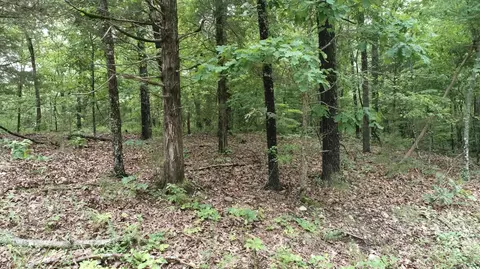 000 County Road 814, Gainesville, MO 65655 photo 5