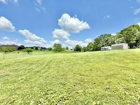 383 Scenic View Rd, Ozark, MO 65721 photo 39