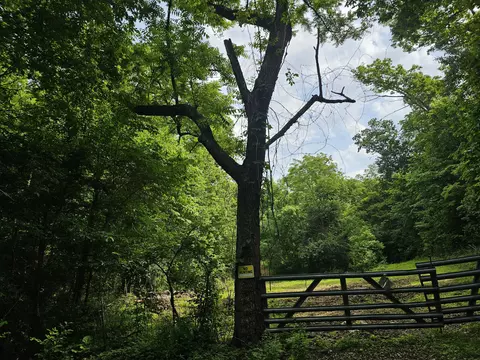 000 Sunny Slope Dr, Crane, MO 65633 photo 5