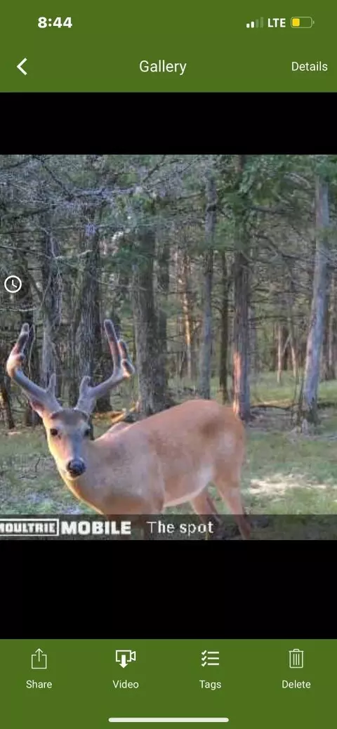 000 Sunny Slope Dr, Crane, MO 65633 photo 3