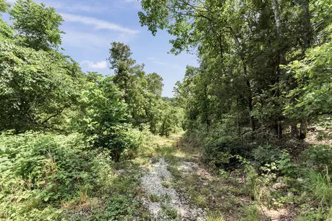 2029 Moon Valley Rd, Ozark, MO 65721 photo 68