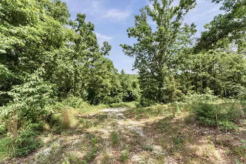 2029 Moon Valley Rd, Ozark, MO 65721 photo 67