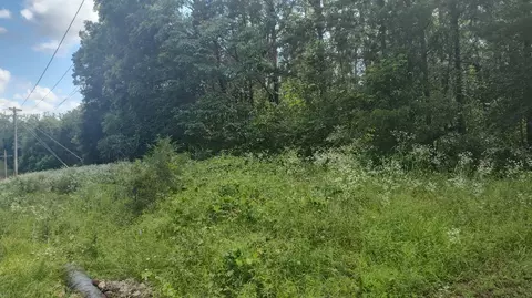 lot142 143 Farm Road 1255, Shell Knob, MO 65747