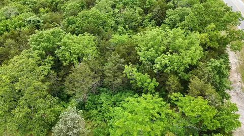000 State Hwy 86, Eagle Rock, MO 65641 photo 3