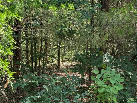 6 Lots Farm Road 1255, Shell Knob, MO 65747 photo 8
