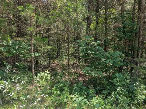 6 Lots Farm Road 1255, Shell Knob, MO 65747 photo 2