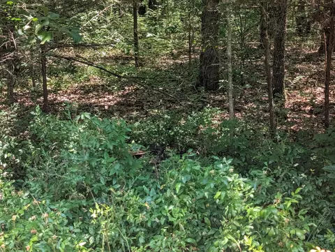 6 Lots Farm Road 1255, Shell Knob, MO 65747 photo 10