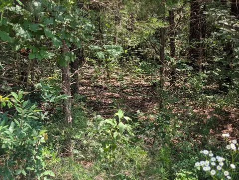 6 Lots Farm Road 1255, Shell Knob, MO 65747 photo 4