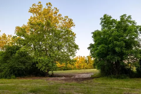 00 Tall Oak Ln, Tunas, MO 65764 photo 39