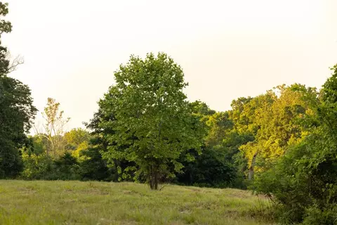 00 Tall Oak Ln, Tunas, MO 65764 photo 42