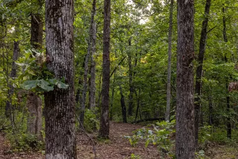 00 Tall Oak Ln, Tunas, MO 65764 photo 44