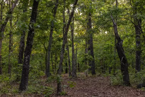 00 Tall Oak Ln, Tunas, MO 65764 photo 45