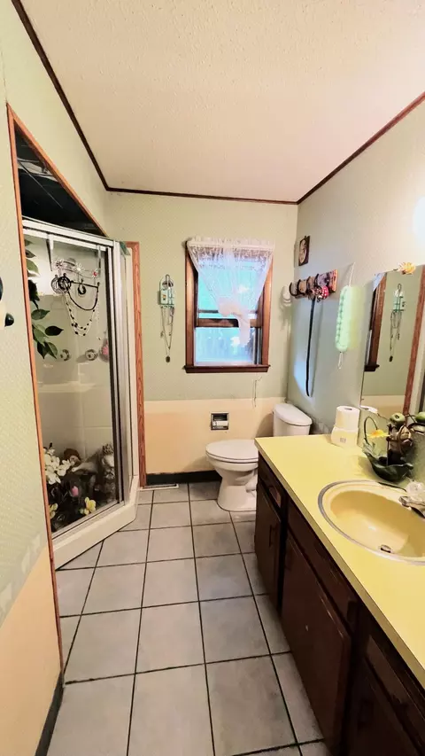 Bath - 113 Circle Dr, Monett, MO 65708 photo 2 of 2