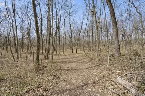 2007 N Farm Road 89, Springfield, MO 65802 photo 4