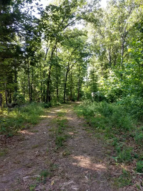 5366 Private Road 5212, Willow Springs, MO 65793
