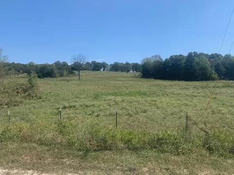 000 Rail Hollow Rnch #LOT 7, Theodosia, MO 65761