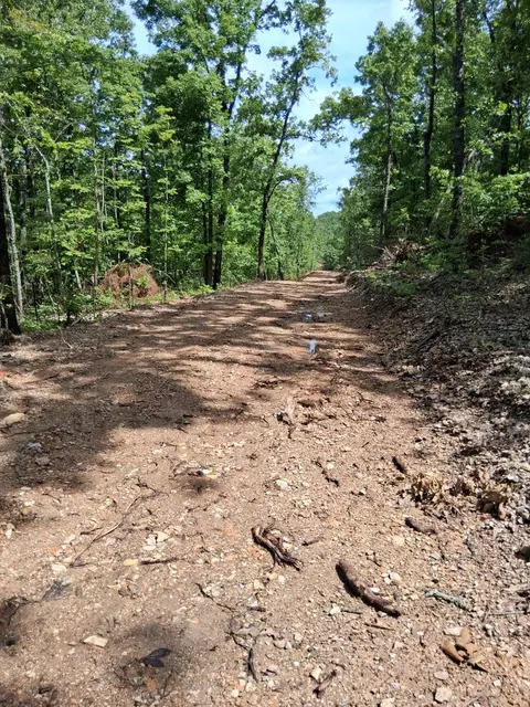 tbd County Road 350, Dora, MO 65637 photo 3