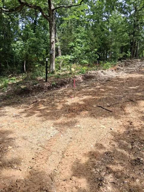 tbd County Road 350, Dora, MO 65637 photo 5