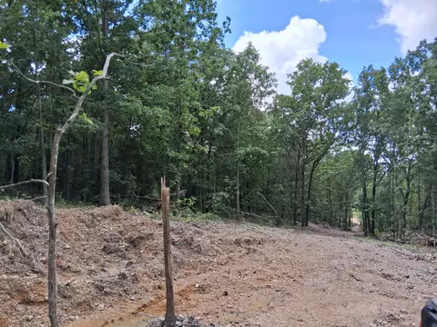tbd County Road 350, Dora, MO 65637 photo 4