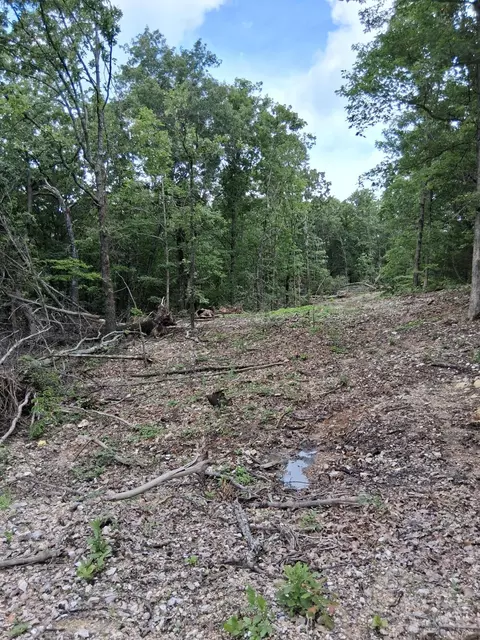 tbd County Road 350, Dora, MO 65637 photo 7