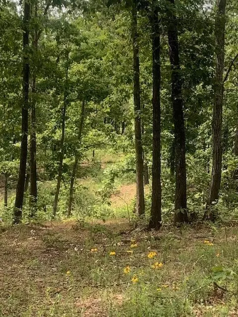 000 County 76-251 Rd, Vanzant, MO 65768 photo 2
