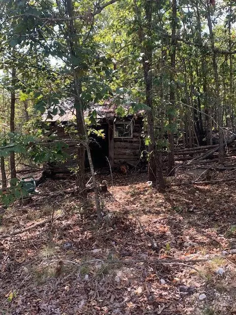 000 County 76-251 Rd, Vanzant, MO 65768 photo 10
