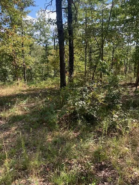 000 County 76-251 Rd, Vanzant, MO 65768 photo 14