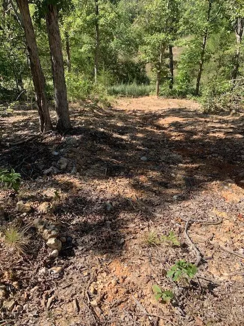 000 County 76-251 Rd, Vanzant, MO 65768 photo 16