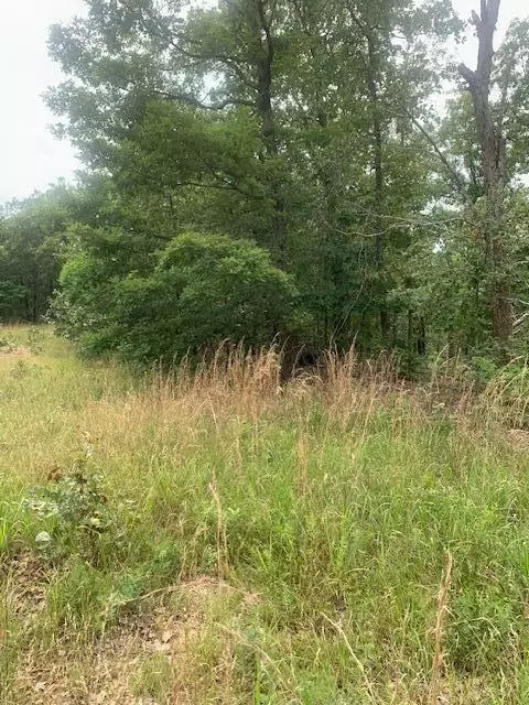 000 County 76-251 Rd, Vanzant, MO 65768 photo 6