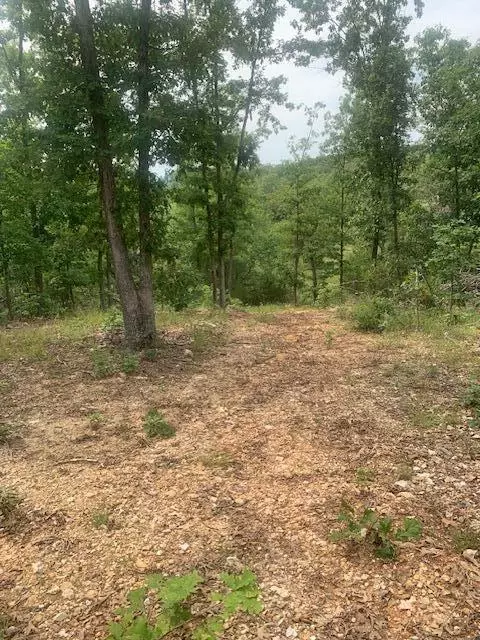 000 County 76-251 Rd, Vanzant, MO 65768 photo 7