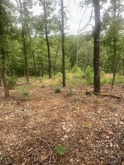 000 County 76-251 Rd, Vanzant, MO 65768 photo 5