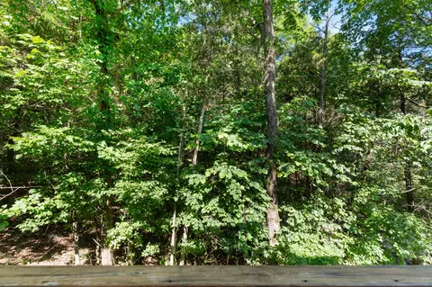 143 Gettysburg Ave, Branson, MO 65616 photo 31