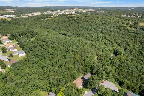143 Gettysburg Ave, Branson, MO 65616 photo 39