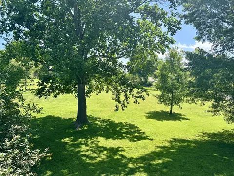 1249 Stonebrook Rd, Ozark, MO 65721 photo 48
