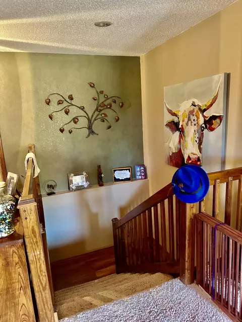 1249 Stonebrook Rd, Ozark, MO 65721 photo 32