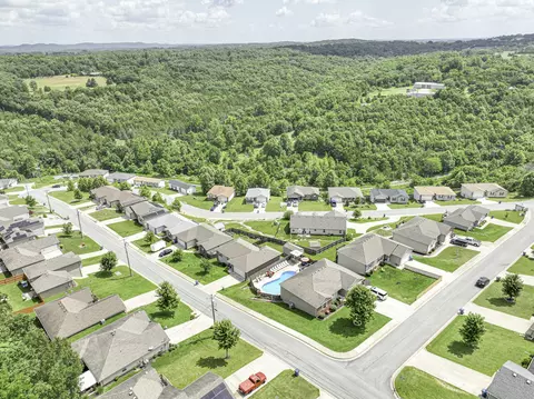 View/Area - 440 Spring Meadow Pkwy, Branson, MO 65616 photo 1 of 5