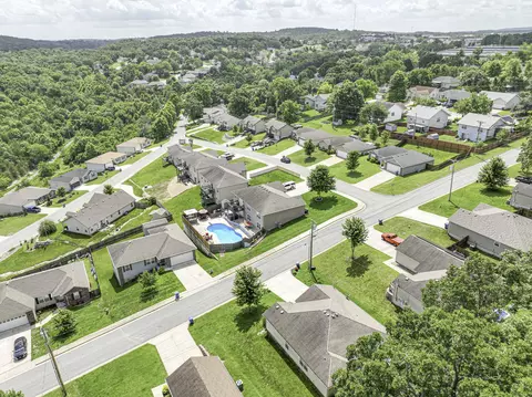 View/Area - 440 Spring Meadow Pkwy, Branson, MO 65616 photo 2 of 5