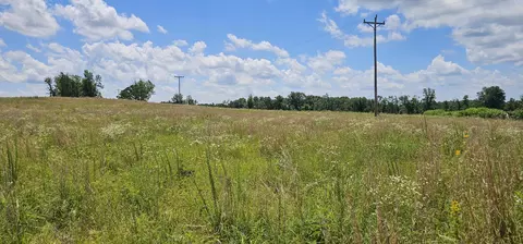 000 County Road Ac-350, Dora, MO 65637 photo 4