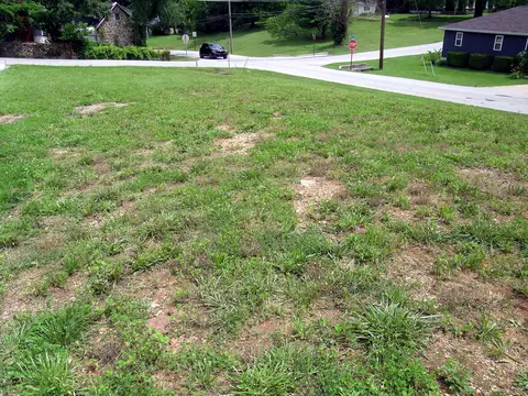 000 N Marshall St, Marshfield, MO 65706 photo 3