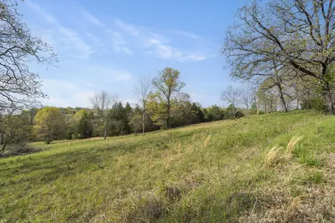tbd Balsa Rd, Forsyth, MO 65653 photo 7