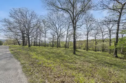 tbd Balsa Rd, Forsyth, MO 65653 photo 2