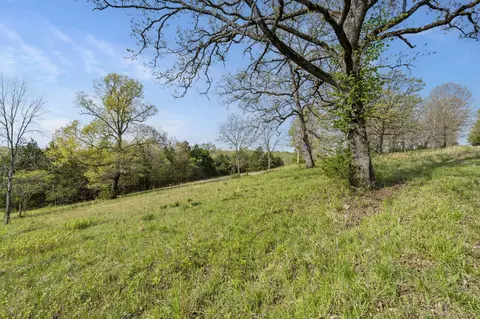 tbd Balsa Rd, Forsyth, MO 65653 photo 4