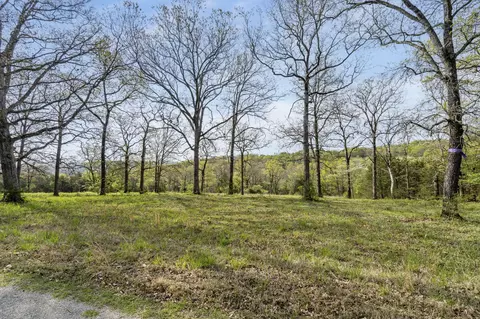tbd Balsa Rd, Forsyth, MO 65653 photo 3